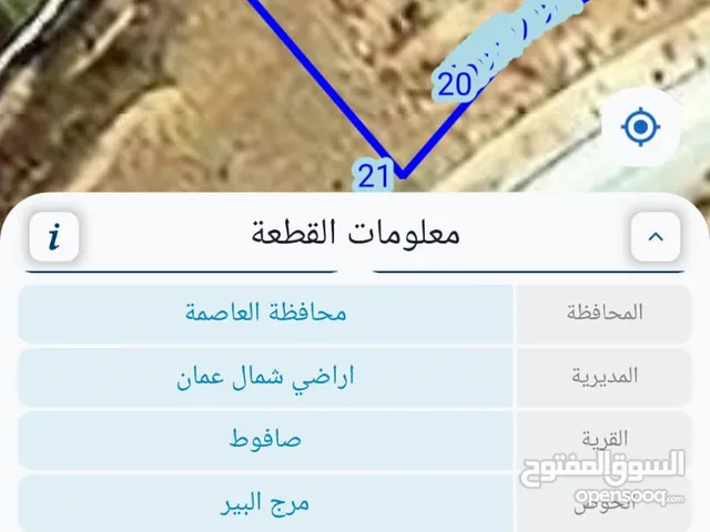 قطعة أرض من المالك مباشرة صافوط بسعر مغري 82000