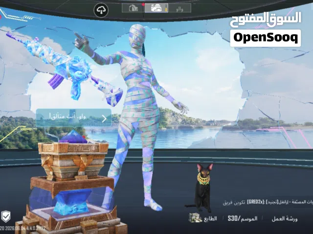 Pubg Accounts and Characters for Sale in Basra