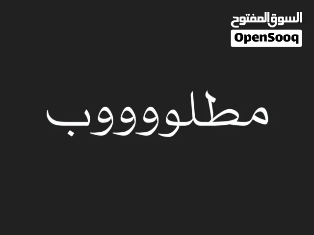 مطلوب محل فلافل وشبس