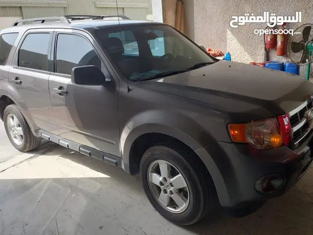 Used Ford Escape in Sharjah