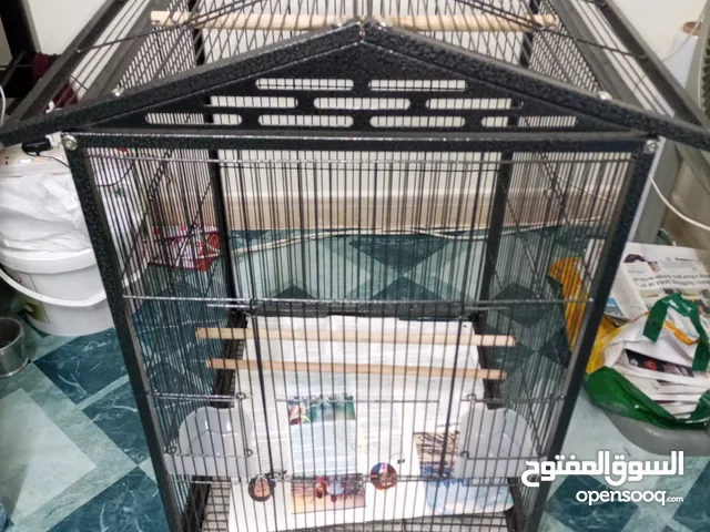 Bird Cage Brand New