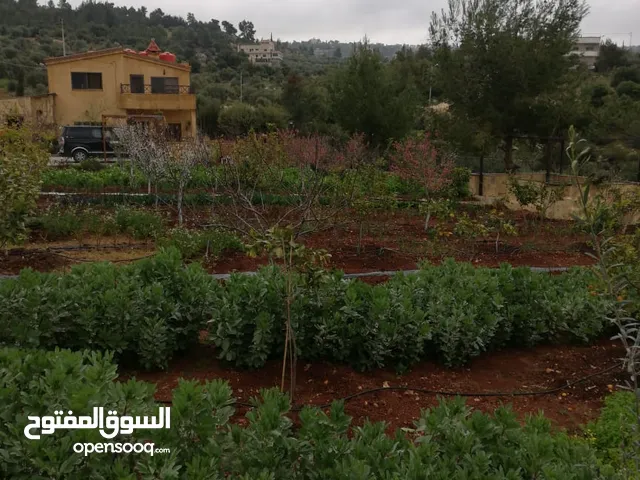 2 Bedrooms Farms for Sale in Jerash Al-Kittah