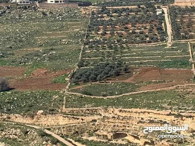 Farm Land for Sale in Salt Al-Sleihi