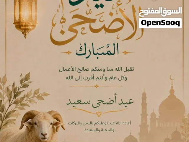 بيانتو كورولا2008
