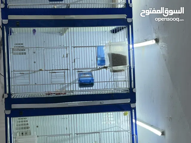 قفص تكاثر للبيع كامل مع الملحقات