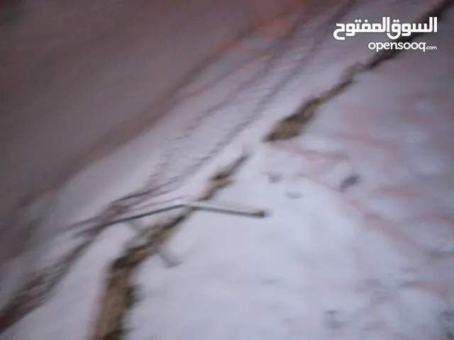 اااا