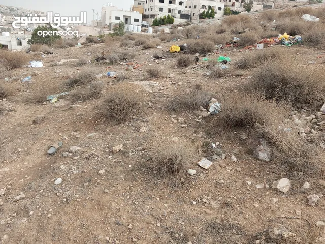 Residential Land for Sale in Zarqa Hay Al-Rasheed - Rusaifah