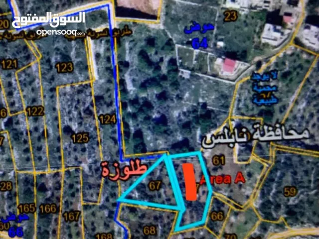 ارض زيتون للبيع