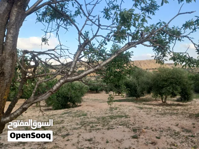 Residential Land for Sale in Gharyan Other