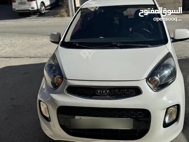 بيكانتو 2016 تومات ترخيص وتأمين شامل