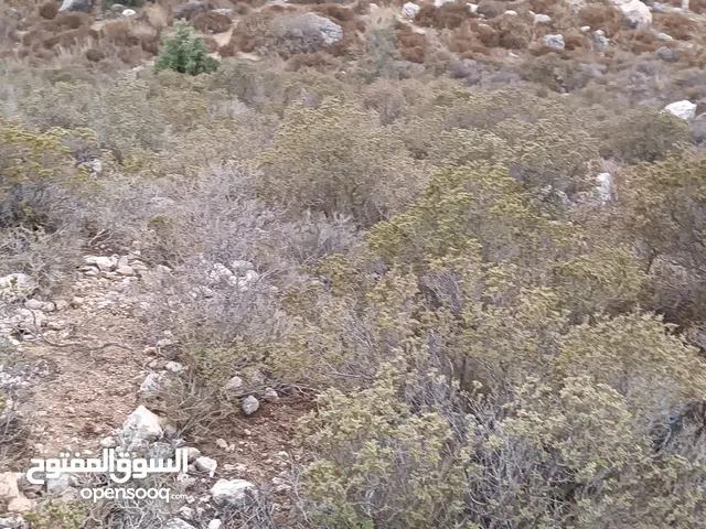 Residential Land for Sale in Ramallah and Al-Bireh Abu Shukhaydam