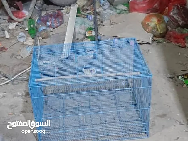 قفص كبير للطيور