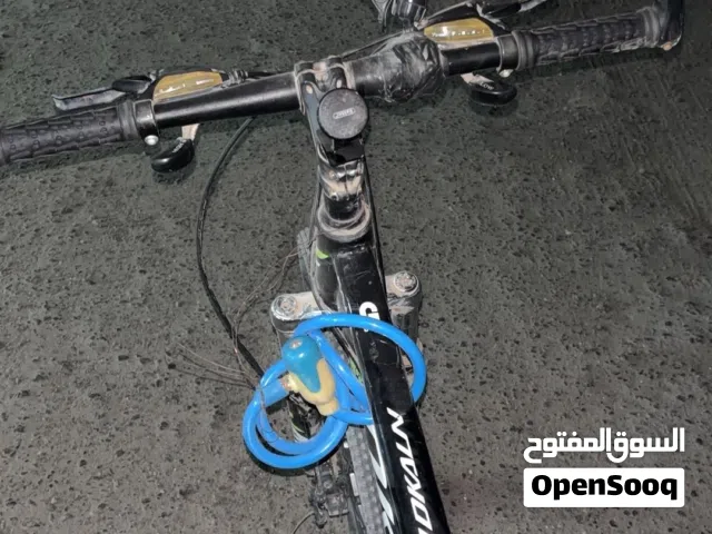 2025 اخرى اخرى