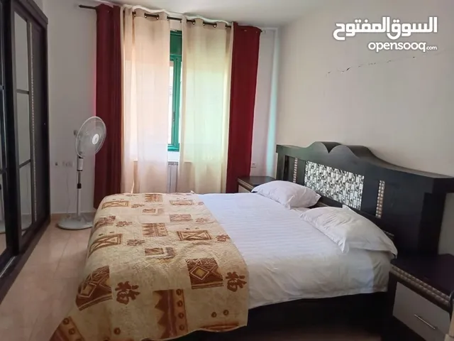 50 m2 Studio Apartments for Rent in Ramallah and Al-Bireh Ein Musbah