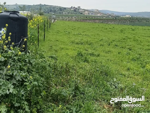 أرض للبيع بمساحه 2دونم