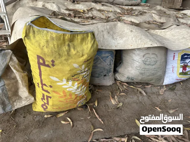 فحم سمر للبيع