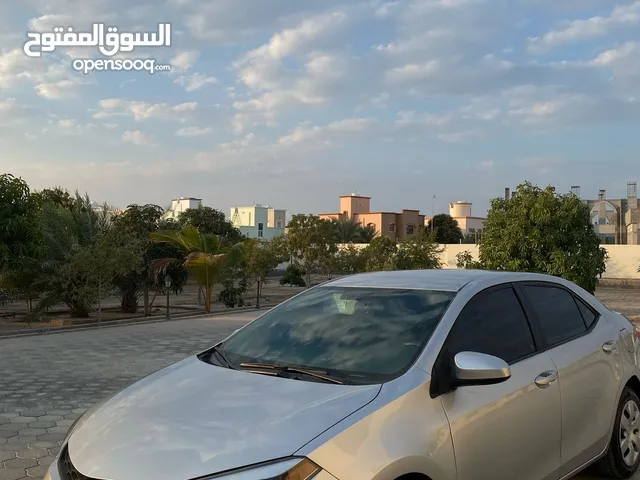 Used Toyota Corolla in Muscat