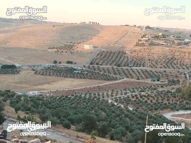 Farm Land for Sale in Mafraq Rhab