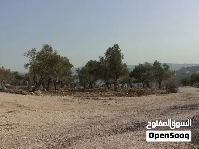 Residential Land for Sale in Amman Badr Jdedeh