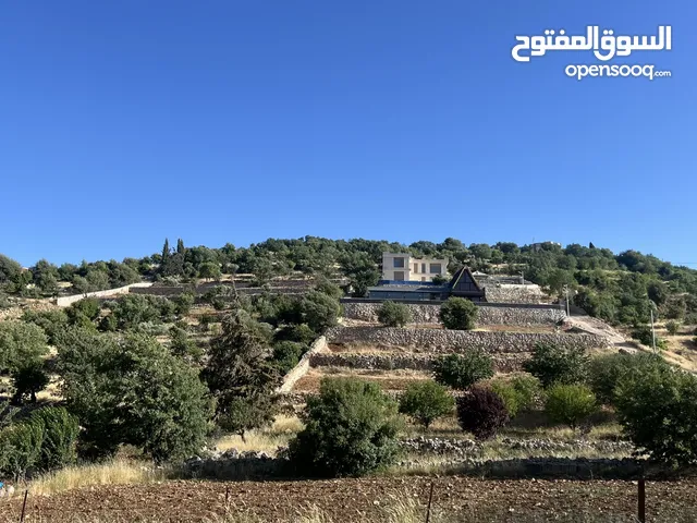 ارض للبيع في الأردن - عجلون منطقة مميزه