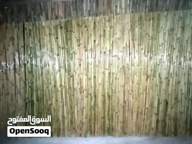 شاهر البواطي لتجاره القصيب