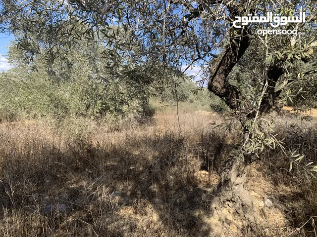 ارض لبيع على شارع