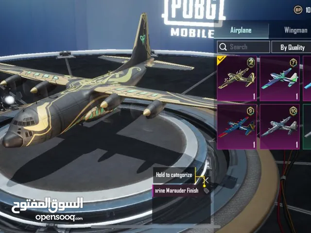 Pubg Accounts and Characters for Sale in Aswan