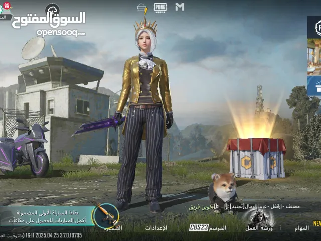 Pubg Accounts and Characters for Sale in Dhamar