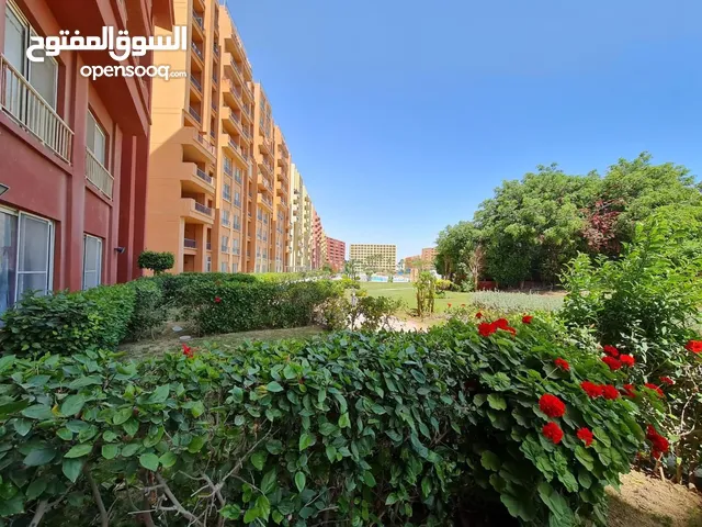 Furnished Monthly in Alexandria North Coast