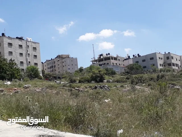 Residential Land for Sale in Ramallah and Al-Bireh Ein Munjid
