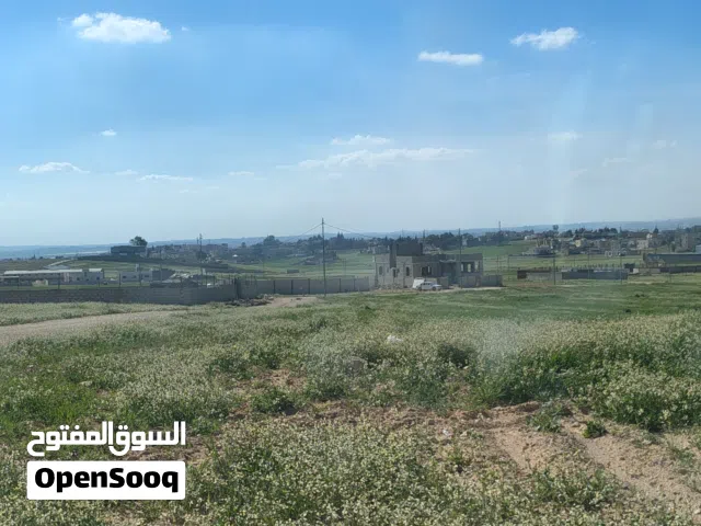ارض في النقيرة - لواء الموقر.. العاصمة سعر مغري