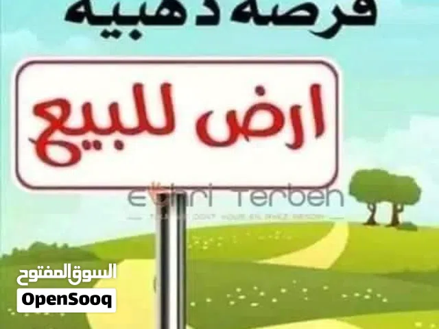 قطعتين أرض للبيع خلف جامعة ناصر ملك مقدس