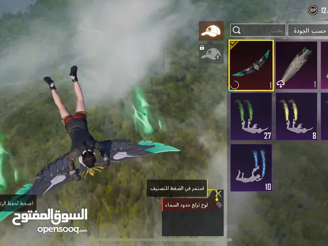 Pubg Accounts and Characters for Sale in Amman