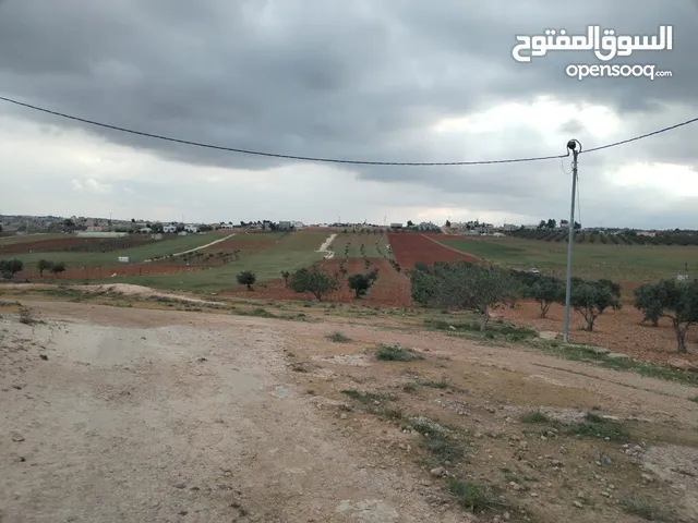 Farm Land for Sale in Mafraq Rhab