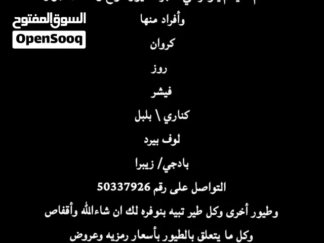 طيور للبيع أنواع واشكال