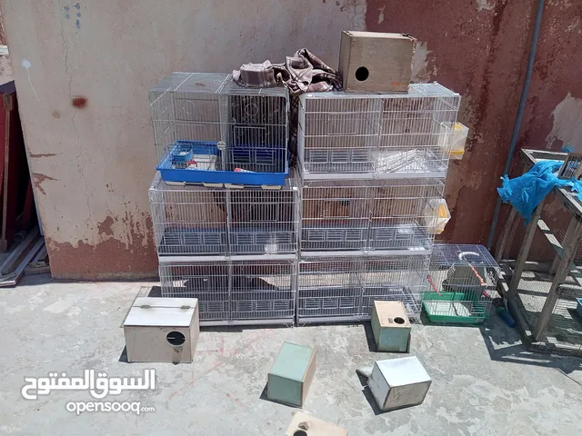 مجموعه اقفاص للبيع