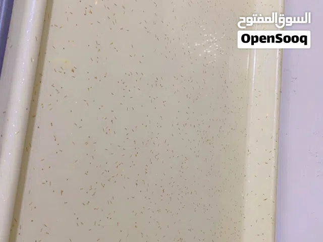 مرمر وتعليك فقط جدد نظافتهن 100