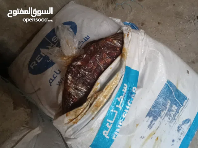 للبيع تمور فاخره وعسل التمر الدبس ب اقل الأسعار وافضل جوده معى رعوي  مباشره بدون اي وسيط