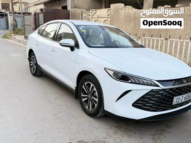2025 بي واي دي كين