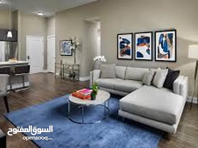 قطط منوعة للبيع