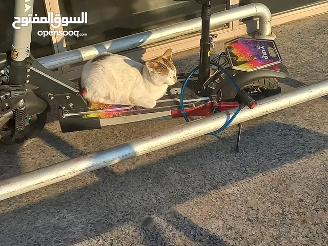 اسكوتر مستعمل نظيف جدا