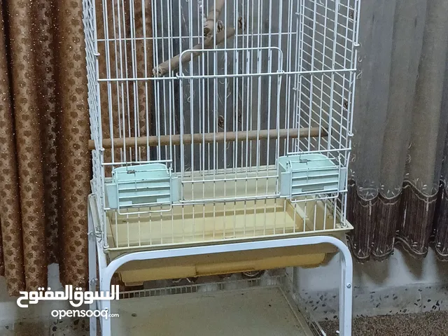 قفص نضيف وكبير للبيع