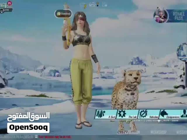 Pubg Accounts and Characters for Sale in Al Batinah