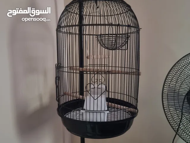 قفص طيور لعصفورين
