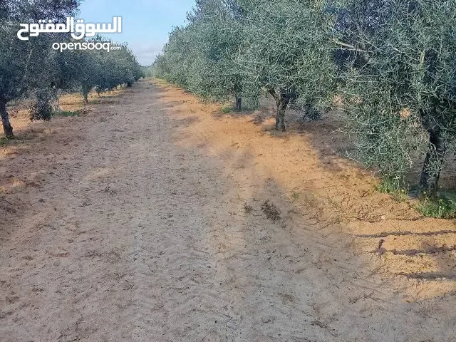 Mixed Use Land for Sale in Sfax Other