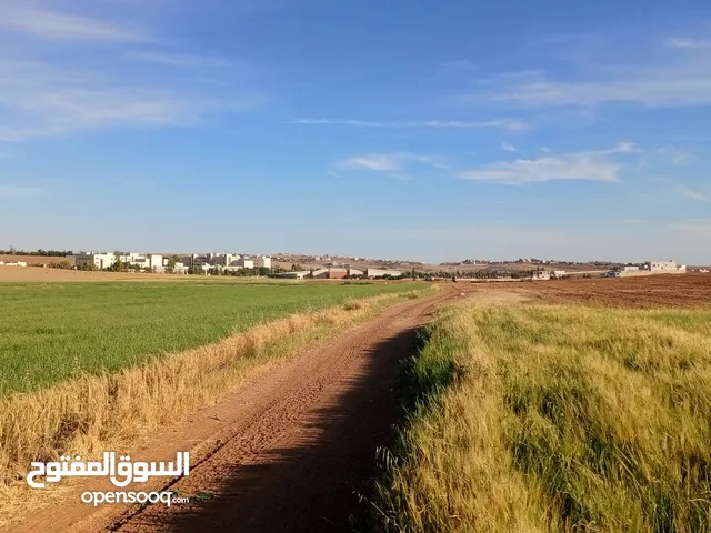 Farm Land for Sale in Madaba Madaba Center