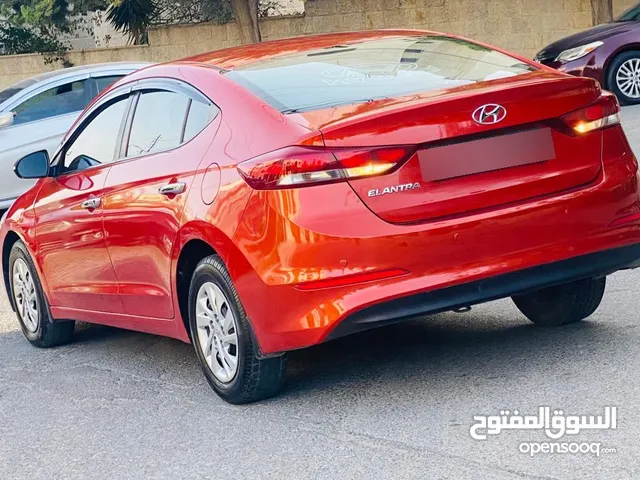 Used Hyundai Elantra in Amman