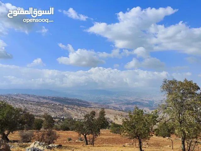 Farm Land for Sale in Zarqa Al-Alouk