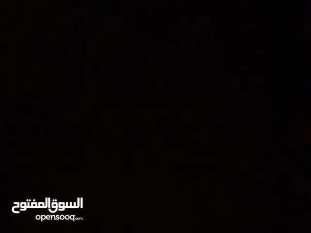 فاطمة العلوي