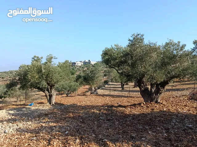 قطعة ارض للبيع في كوبر